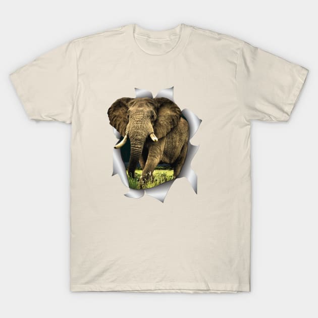 African Elephants T-Shirt by Just Kidding by Nadine May